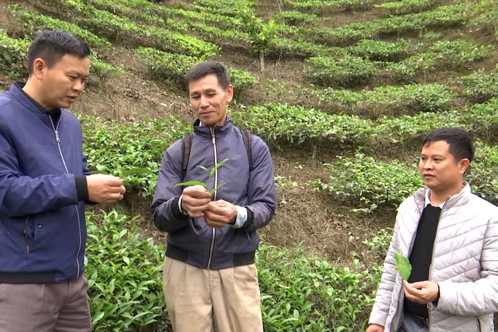 Sơn La - Sắc xanh trên vùng biên Lóng Sập