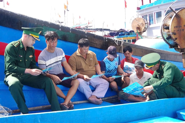Tỏa sáng vai trò “lá chắn xanh” nơi biển đảo