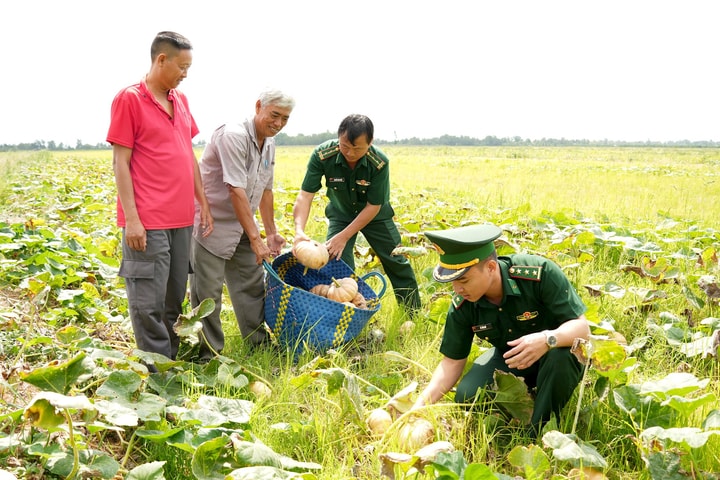 BĐBP Cà Mau hỗ trợ tiêu thụ nông sản cho người dân