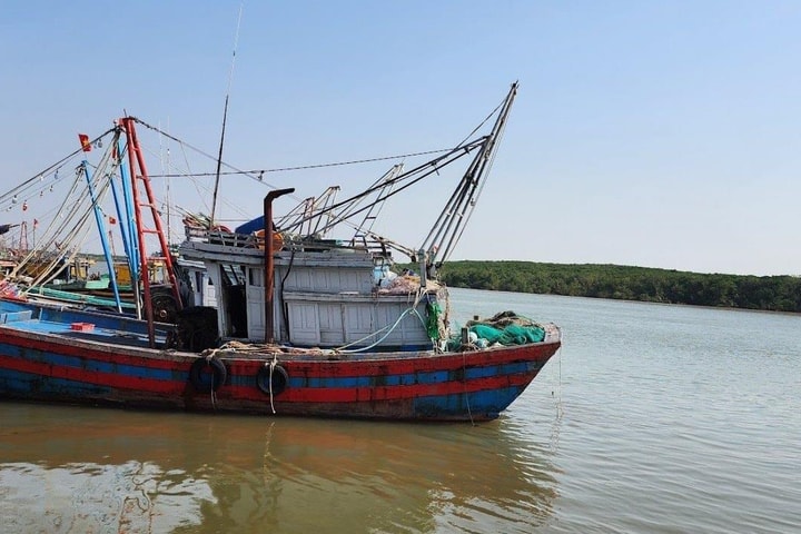 Hà Tĩnh đẩy mạnh số hóa trong quản lý tàu cá, quyết liệt chống khai thác IUU