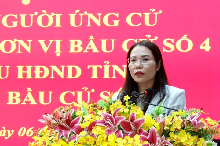 Chánh án TAND tỉnh Đồng Nai trúng cử đại biểu HĐND tỉnh