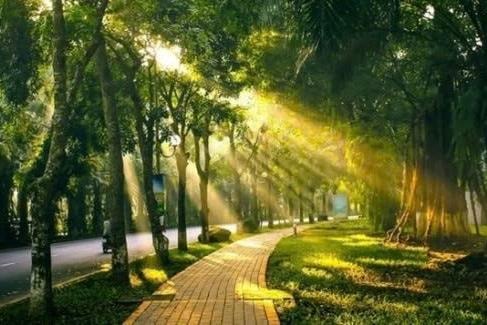 Thời tiết hôm nay 23/3: Miền Bắc giảm sương mù, nắng ấm diện rộng