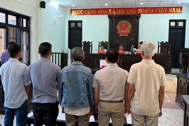 Sai phạm trong tận thu rừng cháy, 5 bị cáo ở Huế lĩnh án