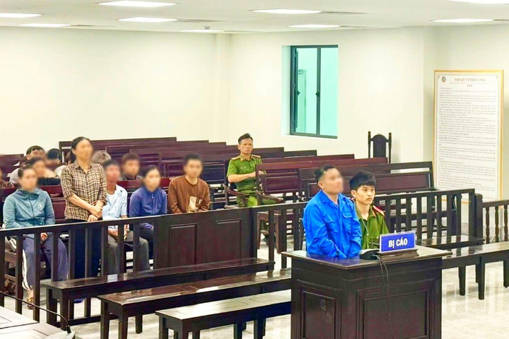 Tấc đất trần gian và bản án cho kẻ chém đứt tình thân