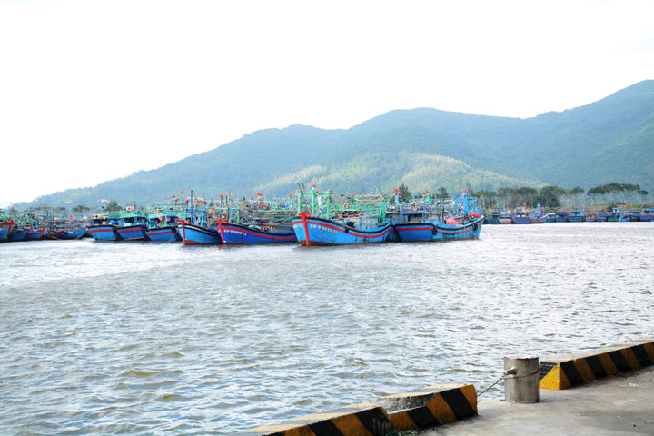 Đà Nẵng kiểm soát 100% tàu cá, siết chặt chống khai thác IUU