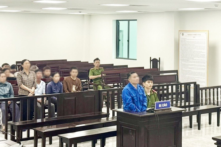Radio pháp đình: Tấc đất trần gian và bản án cho kẻ chém đứt tình thân