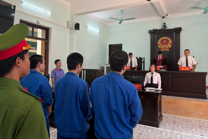 Ngựa quen đường cũ, 3 bị cáo cùng vào tù vì ma túy