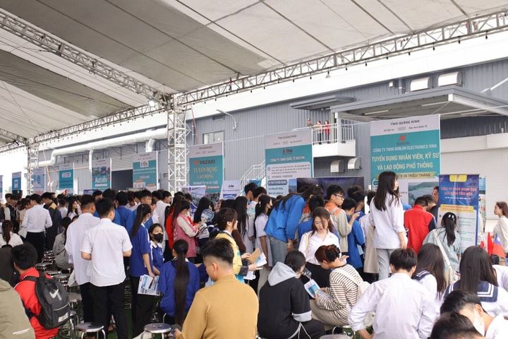 Quảng Ninh: 12.600 việc làm được kết nối tại Ngày hội việc làm