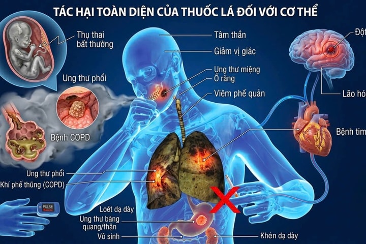 Thông tư 07 sửa đổi quy định nhập khẩu thuốc lá điếu, xì gà sẽ có hiệu lực từ 10/4/2026