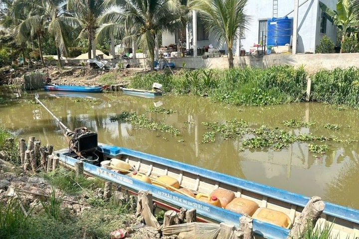 Cá sấu nặng hàng chục ký xuất hiện ở kênh nước