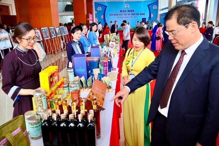 Cao Bằng thúc đẩy sản xuất nông sản an toàn, hướng tới chuỗi giá trị bền vững