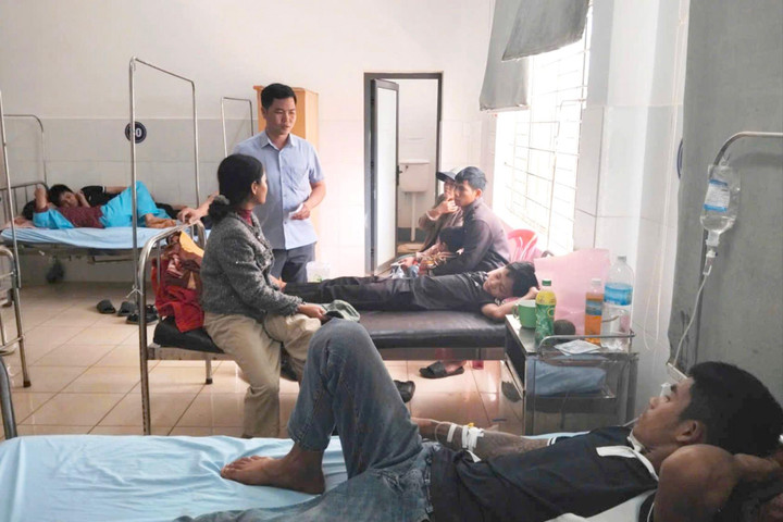 Phát hiện nguyên liệu trong bánh mì nhiễm khuẩn Salmonella
