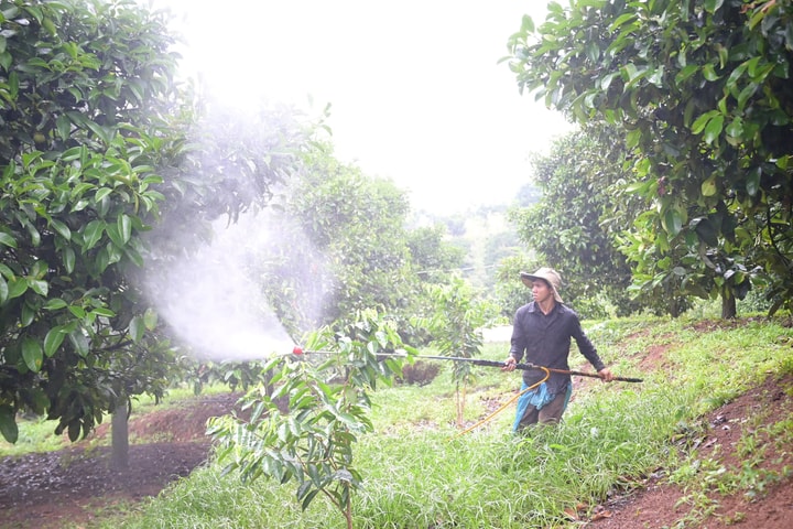 Thúc đẩy xử lý bao bì thuốc bảo vệ thực vật bền vững