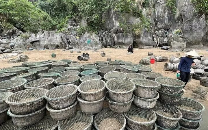 Xử lý 2 vụ nuôi thủy sản trái phép trên Vịnh Hạ Long