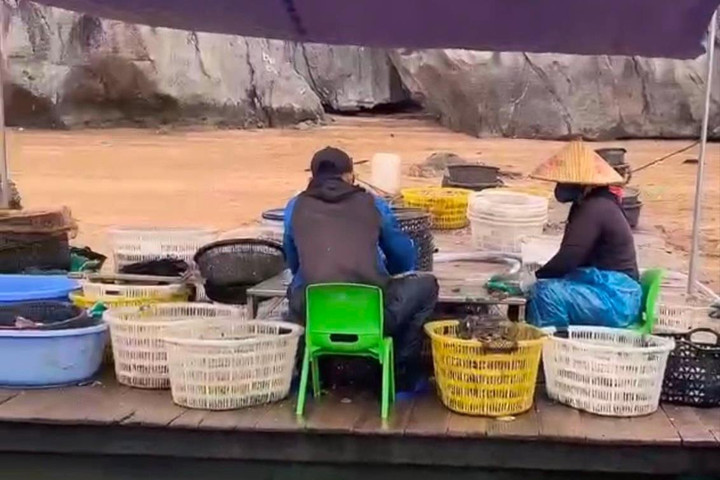 Tiếp tục phát hiện vi phạm nuôi trồng thủy sản trái phép trên Vịnh Hạ Long
