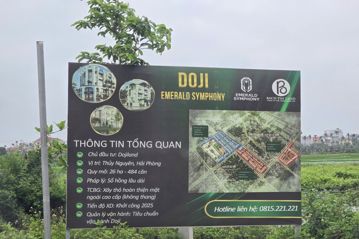 Hải Phòng: Thu hồi đất, triển khai nhiều dự án trọng điểm trong năm 2026