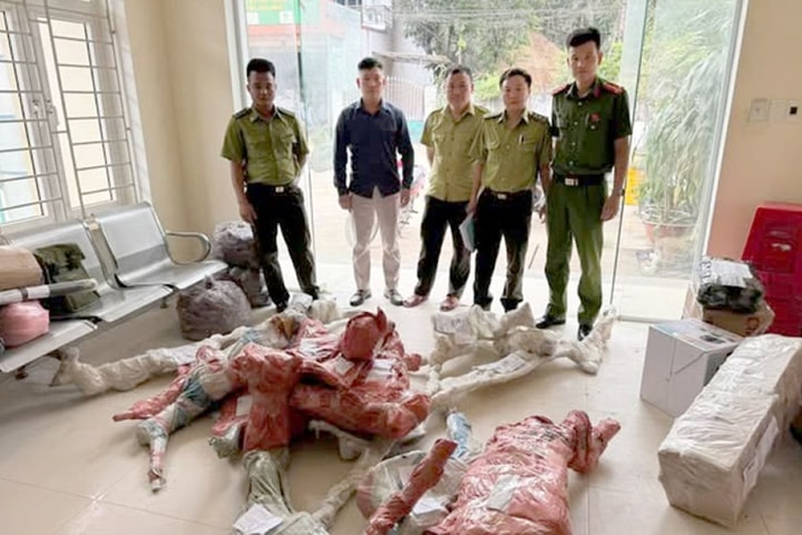 Phát hiện, thu giữ 15 phôi cây Muội hồng không rõ nguồn gốc