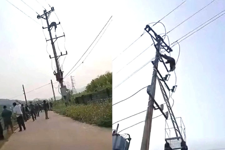 Một thiếu niên tử vong trên cột điện khi đi bắt chim
