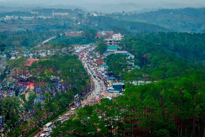 Chuyển hơn 80ha rừng trồng sản xuất ở Măng Đen làm khu đô thị