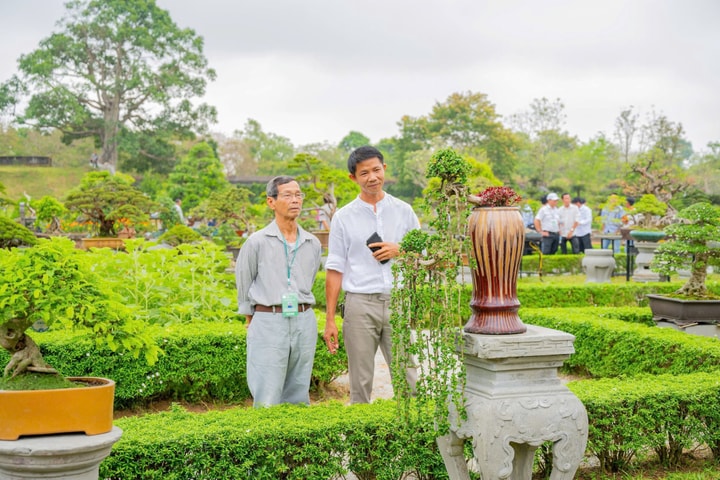 Rực rỡ sắc lan, cây kiểng ba miền giữa lòng Hoàng cung Huế