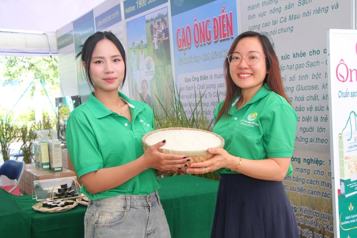 Hấp dẫn cuộc thi gạo ngon Đồng bằng sông Cửu Long