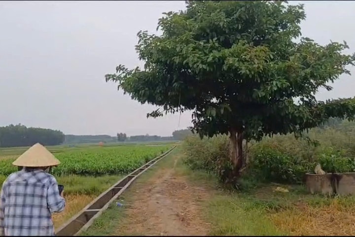 Người đàn ông bị sét đánh tử vong