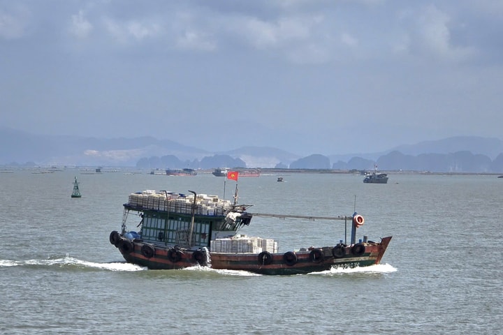 Tăng cường kiểm soát, xử lý khai thác thủy sản trái phép nhằm tháo gỡ thẻ vàng IUU