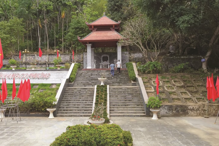 Những đóa hoa trong lòng đá