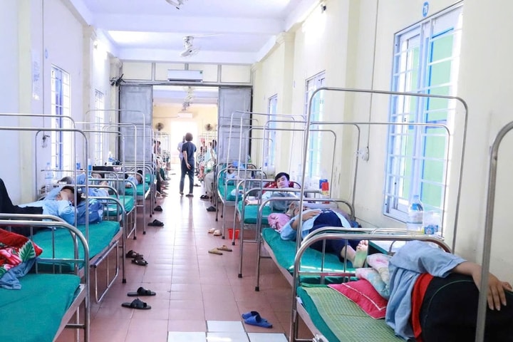 Vụ ngộ độc bánh mỳ ở Diễn Châu: Lộ nguồn lây nguy hiểm
