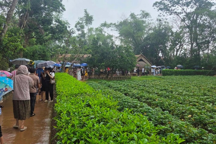 Hàng vạn du khách về thăm Quê Bác dịp lễ