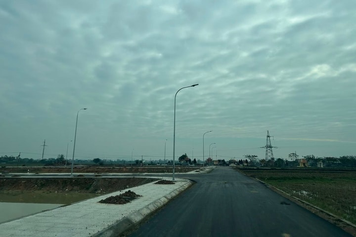 Thiệu Hóa (Thanh Hóa): Chính quyền cấm 4 cá nhân tham gia đấu giá đất