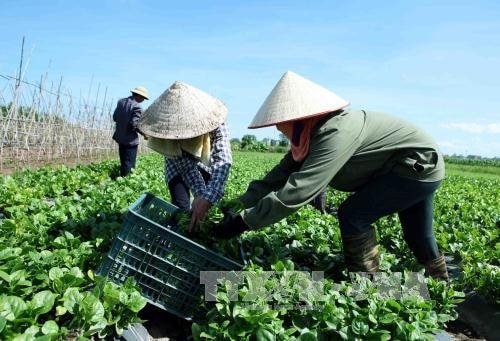 Đề xuất hỗ trợ tới 100% chi phí chuyển đổi số cho hộ kinh doanh, hợp tác xã