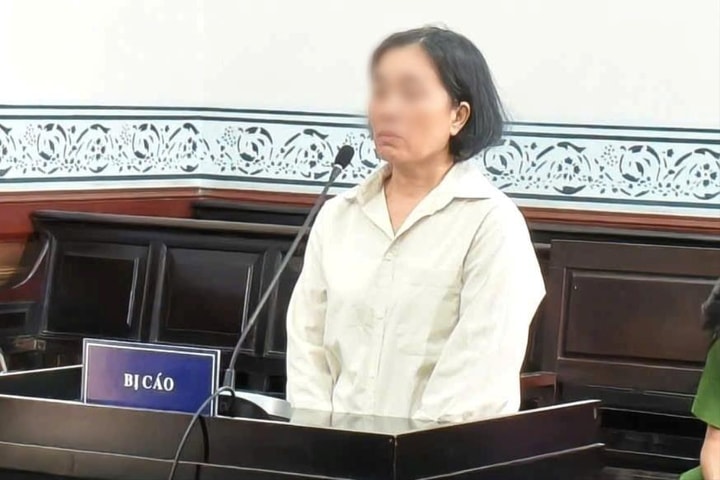 Cựu Phó Chủ tịch Hội Chữ thập đỏ tỉnh dùng giấy tờ giả để vay tiền