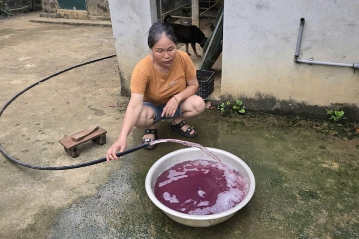 Vụ nước giếng đổi màu tím, bốc mùi hôi tại Thanh Hóa: 5/5 mẫu không đạt chuẩn