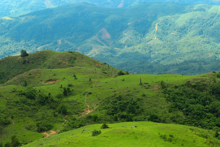 Giữ rừng, giữ nguồn sống cho dân