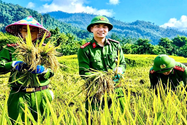 Công an xuống đồng giúp dân cứu lúa sau dông lốc