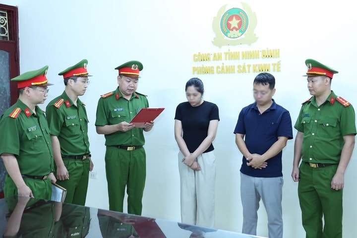 Khởi tố 2 đối tượng vi phạm quy định trong hoạt động bán đấu giá đất