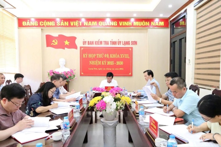 Lạng Sơn: Nhiều đảng viên bị khai trừ khỏi Đảng