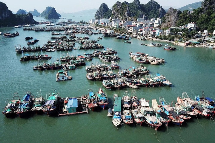 Mở cảng cá Cái Rồng tại đặc khu Vân Đồn