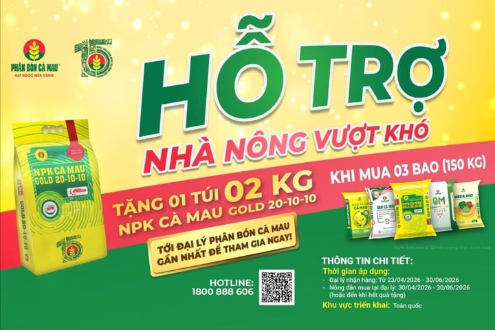 Phân bón Cà Mau hỗ trợ nhà nông vượt khó