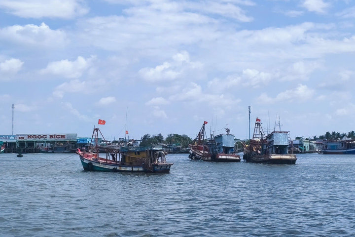 Cà Mau tập trung khắc phục triệt để những hạn chế trong công tác chống khai thác IUU