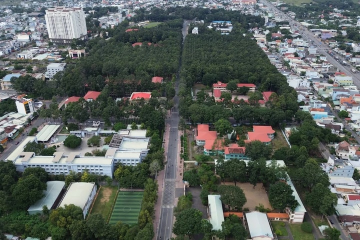 Đồng Nai quy hoạch đô thị sân bay rộng hơn 6.300 ha