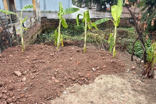 Xử phạt một cá nhân san lấp ao trái phép