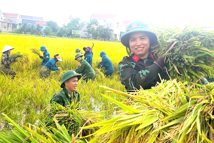 Nghĩa tình mùa gặt trên những cánh đồng