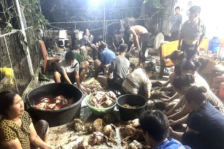 Người dân chung tay hỗ trợ chủ trại gà gặp nạn