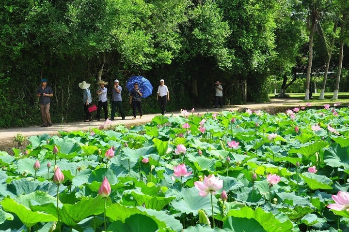 Thời tiết ngày 19/5: Bắc Bộ mưa lớn, Nam Bộ mưa dông về chiều