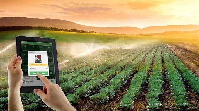 Hợp tác xã sẽ được hỗ trợ tối đa 100 triệu đồng mỗi năm để chuyển đổi số?