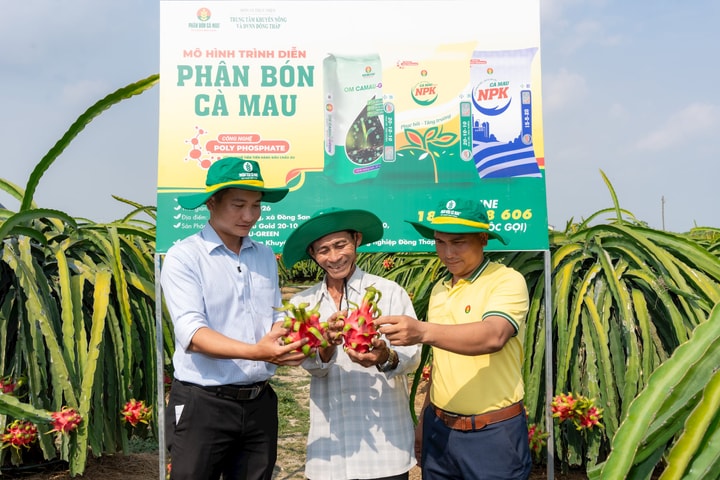 Tiếp sức nhà nông vượt khó tới mùa vàng