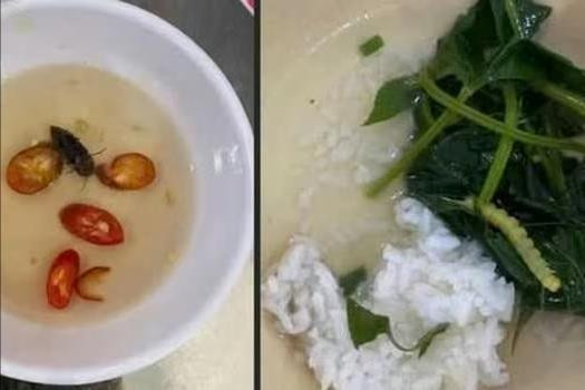 Bếp ăn Đại học Huế xin lỗi sinh viên sau phản ánh “canh rau có sâu”