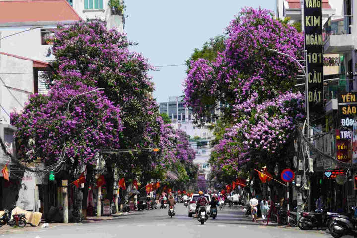 Thời tiết ngày 22/5: Miền Bắc và miền Trung nắng nóng gay gắt
